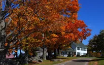 New England đẹp mọi ngõ ngách khi vào thu