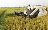 Tiếp tục Chương trình thí điểm bảo hiểm nông nghiệp