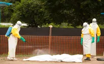 Hơn 4.900 người chết vì Ebola