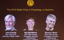 Nobel Y học 2014 thuộc về nghiên cứu não bộ