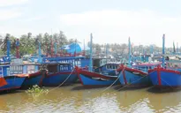 Ngư dân miền Trung khẩn trương tránh trú bão Hagupit