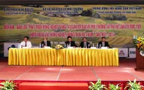 Tăng cường giải pháp phát triển nông nghiệp gắn với bảo vệ môi trường