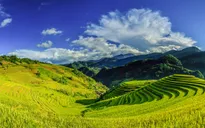 Phát triển du lịch cộng đồng vùng Tây Bắc