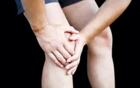 Phát hiện loại dây chằng giúp điều trị chấn thương đầu gối