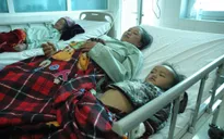 Lai Châu: Ăn nấm rừng, 19 người nhập viện