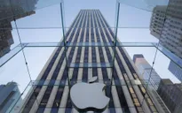 VTV News sẽ tường thuật sự kiện ra mắt iPhone 6