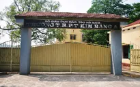 Cây xanh bất ngờ bật gốc, đè 6 học sinh phải nhập viện
