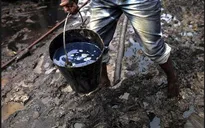 Nigeria: Thế lực nào đang bảo kê cho nạn ăn cắp dầu?