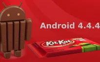 Dòng Galaxy chuẩn bị được Samsung cập nhật Android Kitkat 4.4.4?