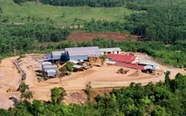 Mỏ vàng Bồng Miêu hoạt động trở lại từ 30/9