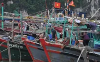 Bão số 1: Đã có mưa dông tại các tỉnh Quảng Ninh, Nam Định