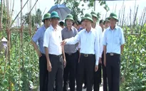 Phó Thủ tướng Vũ Văn Ninh làm việc tại tỉnh Thái Bình