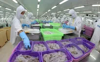 Kim ngạch xuất khẩu thủy sản 6 tháng đầu năm sụt giảm mạnh