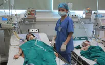 Đăk Lăk: 1 trường hợp tử vong do viêm não Nhật Bản B