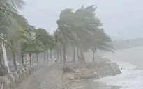 Mưa lũ lịch sử ở Quảng Ninh: Khoảng 1500 du khách vẫn mắc kẹt tại Cô Tô