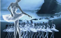 Trước đêm công diễn, “cơn sốt” vở ballet 3D “Hồ Thiên Nga” chưa hạ nhiệt