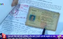 Gia Lai: Thu giữ số lượng lớn giấy phép lái xe giả hạng A1
