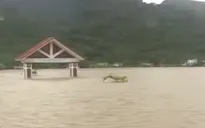 Đảo Cô Tô: Thực phẩm và rau xanh chỉ có thể đáp ứng được hơn 3 ngày nữa