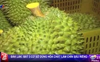 Kinh hoàng cơ sở dùng chất cấm ép chín sầu riêng