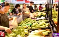 Vingroup chuẩn bị ra mắt sản phẩm rau sạch đầu tiên