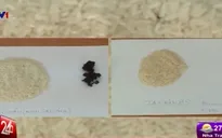 Gạo nghi làm từ nhựa hay cao su tại TP.HCM: Chưa có kết luận