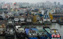 Hơn 30.000 người dân Trung Quốc sơ tán trước bão Mujigae