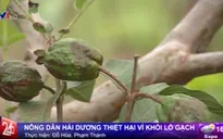 Hải Dương: Người dân "ứa nước mắt" vì khói lò gạch