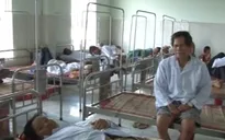 Sốt xuất huyết diễn biến khó lường tại Gia Lai