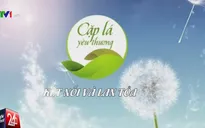 Cặp lá yêu thương sau 2 tháng phát động: Hiệu quả, gần gũi và thiết thực