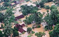 2015 - Năm của cam kết và hành động ứng phó biến đổi khí hậu