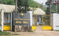 Đề nghị cho công ty vàng Bồng Miêu và Phước Sơn xuất khẩu vàng