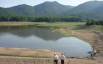 Ninh Thuận: Nhiều hồ chứa nước bị cạn kiệt