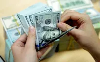 Tăng lãi suất USD, doanh nghiệp nhập khẩu lo lắng