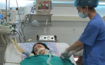 Viêm não Nhật Bản gia tăng tại TP.HCM