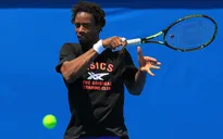 Tâm điểm 3 giải ATP 250