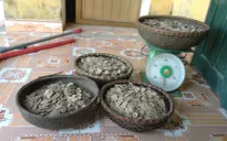Hà Nam: Đào đất xây bể nước, phát hiện hũ tiền cổ hơn 50 kg