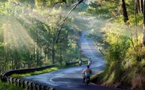 10 lý do nên du lịch Đà Lạt ít nhất một lần trong đời