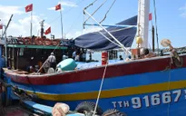 TT-Huế: "Con tàu 67" đầu tiên vươn khơi, bám biển