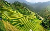 Việt Nam góp mặt trong danh sách 20 điểm đến kỳ diệu