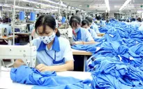 Hội nhập: Dệt may và thách thức từ TPP (20h45,11/4-VTV1)