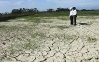 Nắng hạn kéo dài, đồng bào miền núi có nguy cơ thiếu đói