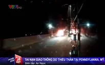 Mỹ: Tai nạn giao thông hy hữu do… thiêu thân