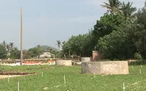 Đảo Lý Sơn đối diện nguy cơ cạn nguồn nước ngọt