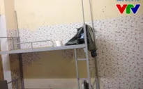 Thi đỗ Đại học, tân sinh viên đối mặt nỗi lo phòng trọ