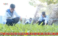 Những mảnh vườn rau xanh nơi đầu sóng ngọn gió Trường Sa