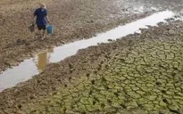 Vùng cao Quảng Trị đối mặt với tình trạng hạn hán nghiêm trọng