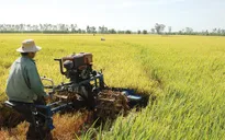 Cử tri chờ đợi sự thay đổi của ngành nông nghiệp