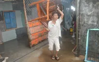 Phú Yên: Hàng chục hộ dân phải di dời do triều cường
