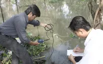 Các địa phương tích cực chống hạn, ngăn mặn