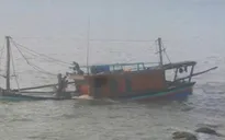 Cứu hộ kịp thời tàu cá gặp nạn trên biển, 12 ngư dân thoát chết